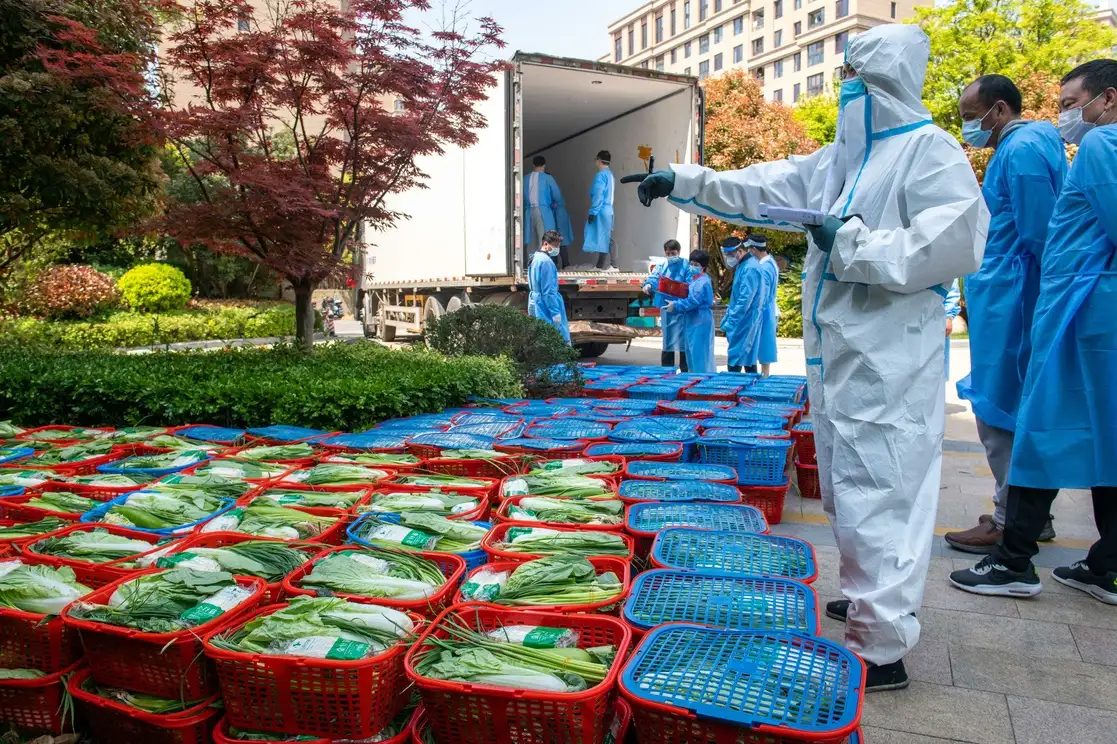 Un voluntario revisa las verduras que el gobierno local distribuirá a los residentes de un complejo habitacional en el distrito de Pudong en Shanghái, China, el 12 de abril de 2022. Foto Afp