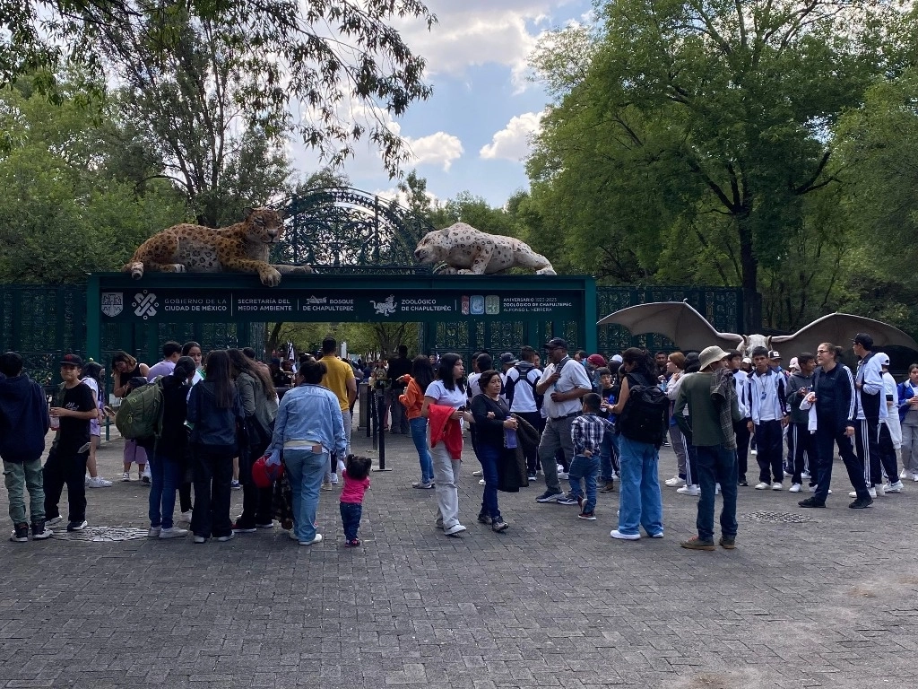 El Zoológico de Chapultepec celebra su 101 aniversario. Decenas de visitantes de todas las edades disfrutan de las actividades culturales en las instalaciones del recinto para animales, en la Ciudad de México, el 5 de julio de 2024. Foto Germán Canseco