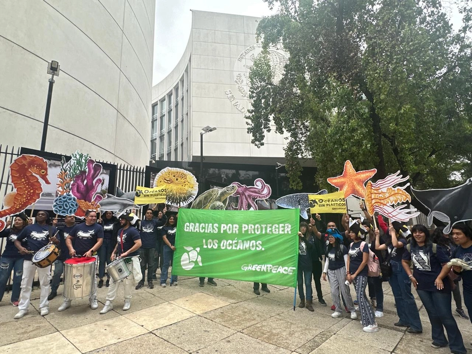 Integrantes de GreenPeace durante una protesta en el Senado de la República. Foto 