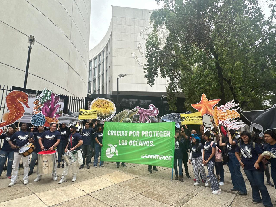 Celebran ONGs inminente entrada en vigor del pacto de Naciones Unidas sobre el Derecho al Mar – La Jornada