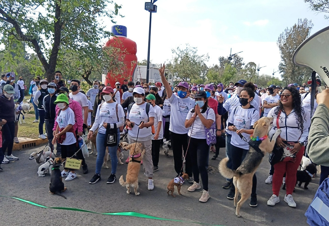 El primer Paseo AdoptaCDMX buscan encontrar dueños responsables para perros y gatos abandonados. Foto tomada de Twitter @PAOTmx