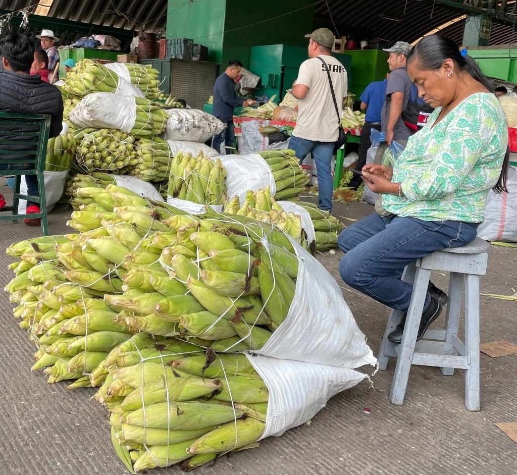 Aspectos de la vendimia de elote en la Central de Abasto. Foto Cristhian A. Espinosa