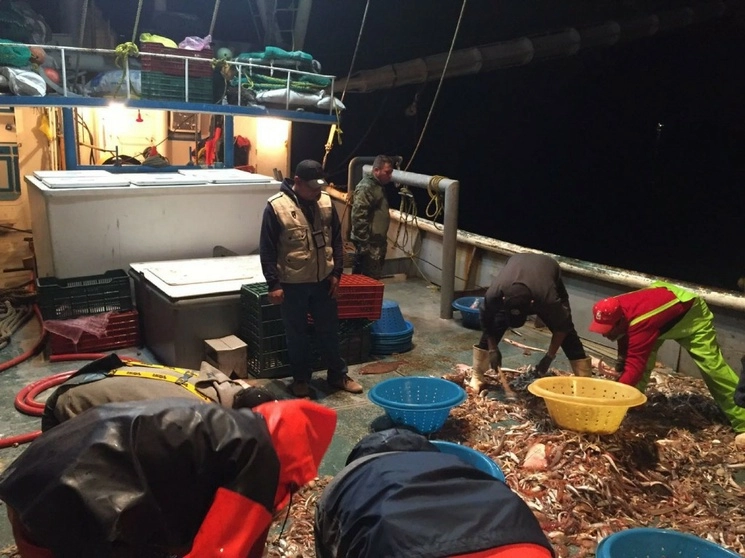 En el Golfo de BC, una embarcación camaronera pesca en zona protegida de la vaquita marina. Foto Cuartoscuro / Archivo 