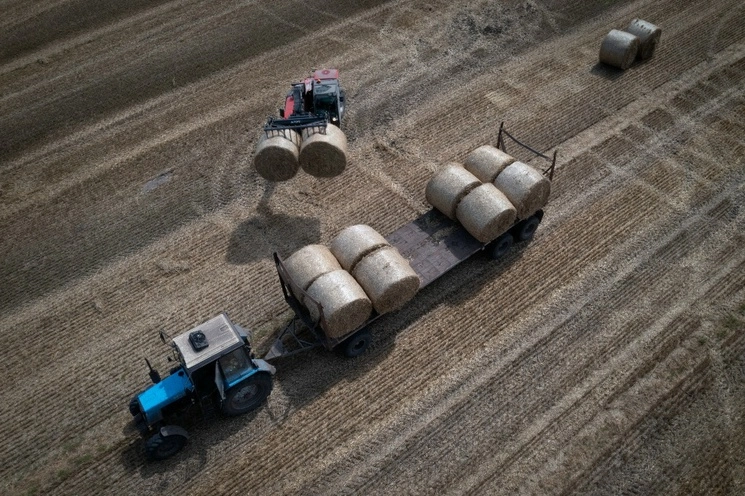 Una granja privada en Zhurivka, región de Kiev, Ucrania, el 10 de agosto de 2023. Foto Ap