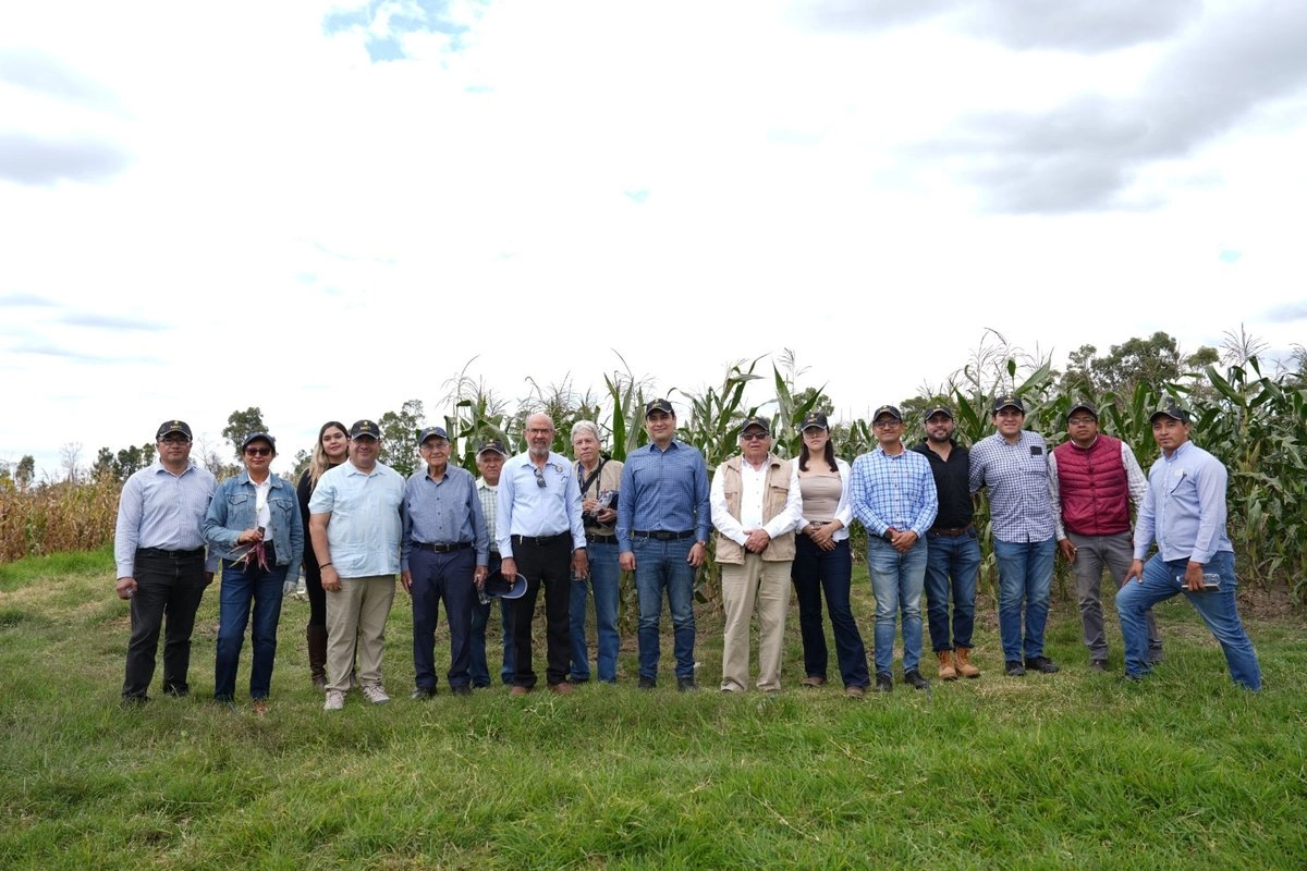 El objetivo es alcanzar la soberanía nacional en la producción del cultivo básico. Foto 