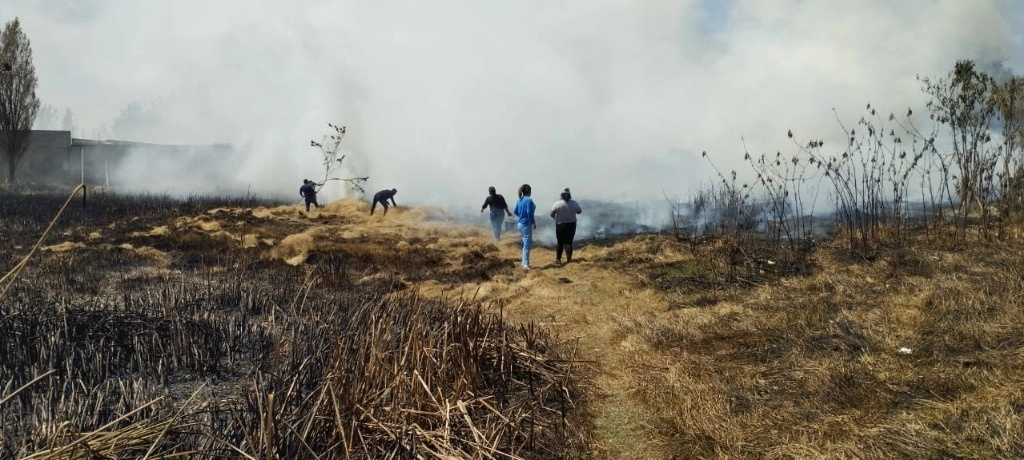 Aspectos de los incendios provocados en los humedales de La Kisst en Chiapas. Foto La Jornada