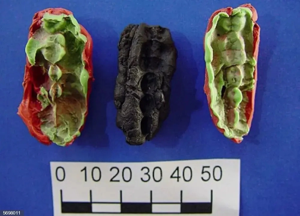 Muestras de la masa masticable. Foto Europa Press