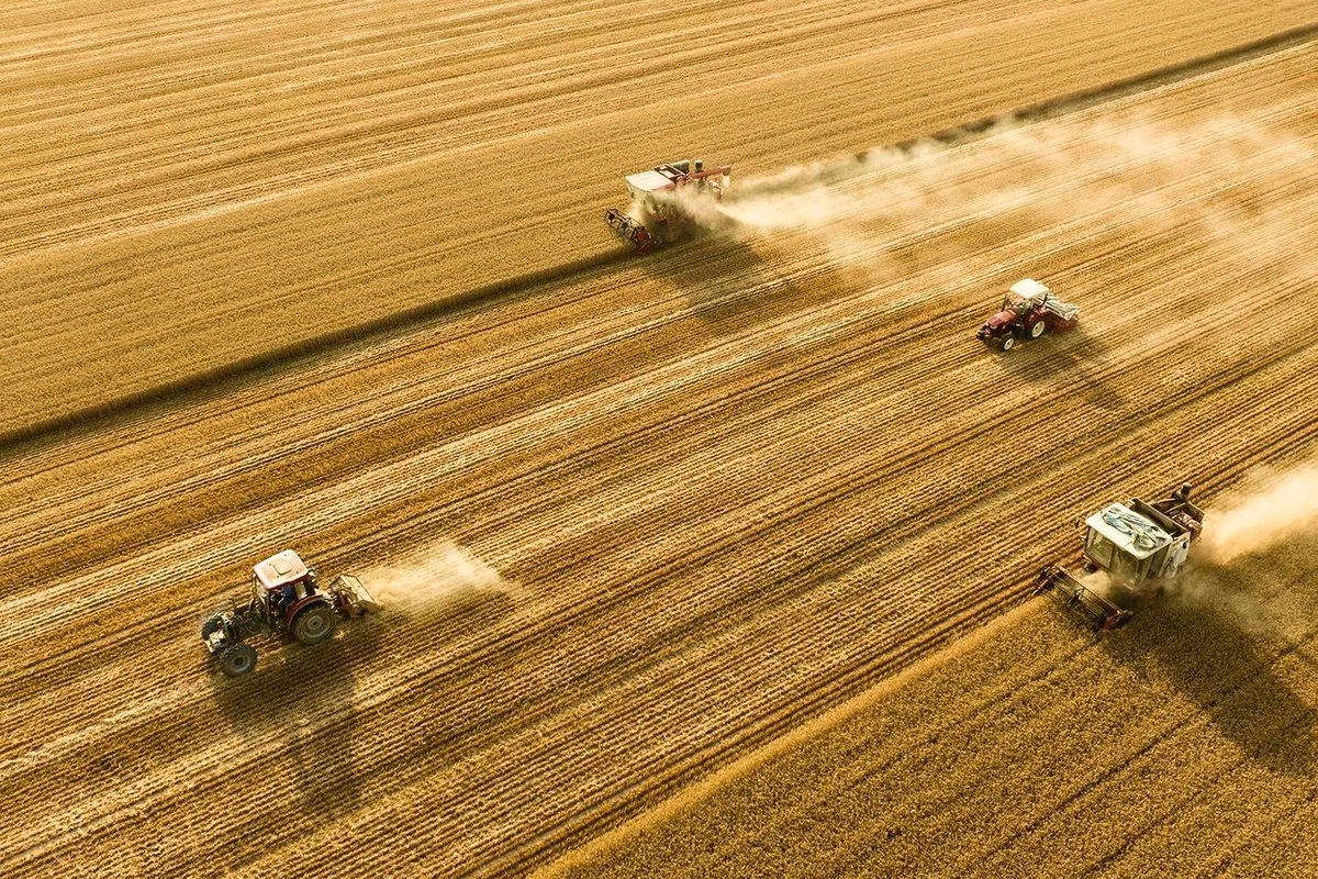 China comenzó a diseñar el nuevo régimen de licencias de tierras raras después de una reunión a finales de octubre entre Trump y Xi, que alivió la tensión comercial entre los dos países. Foto 

