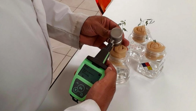 “La contaminación de suelos por las minas a suelo abierto se presenta en México y en otros países, por ello se buscan diversas soluciones". Foto Agencia ID