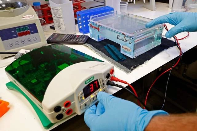 En el Laboratorio de Energías Renovables de la Universidad de Tel Aviv crean electricidad a partir de plantas. Foto Afp