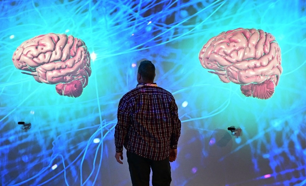 El ‘Homo sapiens’ evolucionó de forma atípica. En la imagen, aspecto de la exposición ‘Corazón vivo, cerebro vivo’, de Dassault Systémes en Las Vegas. Foto Afp