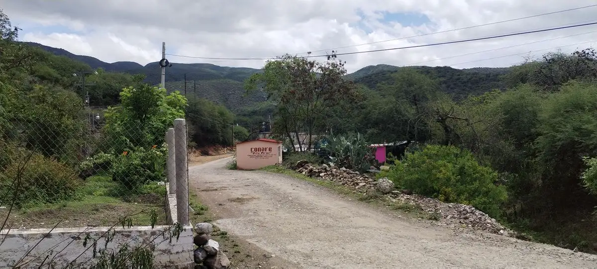 La extinta escuela no era más que un pequeño cuarto de aproximadamente 5 metros de ancho por 7 de largo, pintado de color rosa. En la fachada aún tiene pintadas las siglas del Conafe así como el nombre del centro escolar y su CCT.
