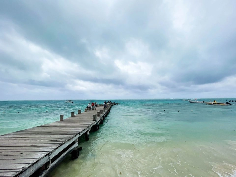 La Dirección de Protección Civil local pidió a los bañistas evitar ingresar a algunas playas de Playa del Carmen, QR, hasta nuevo aviso, luego de un supuesto avistamiento de una cría de tiburón. Foto 