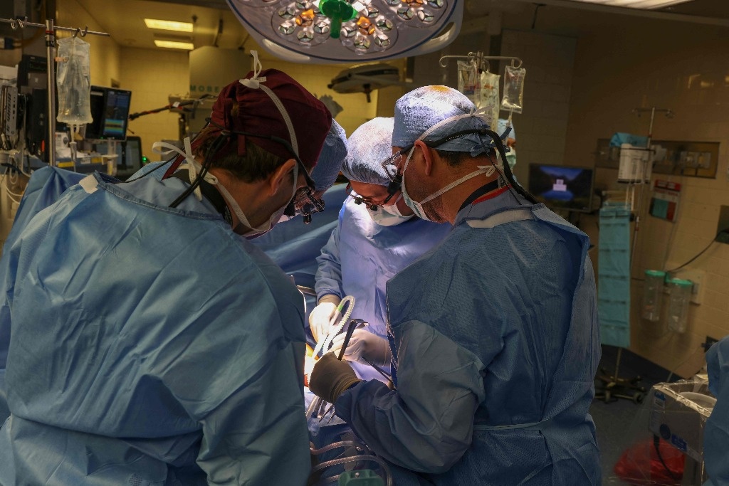 US surgeons transplant pig kidney into a live patient for the first time