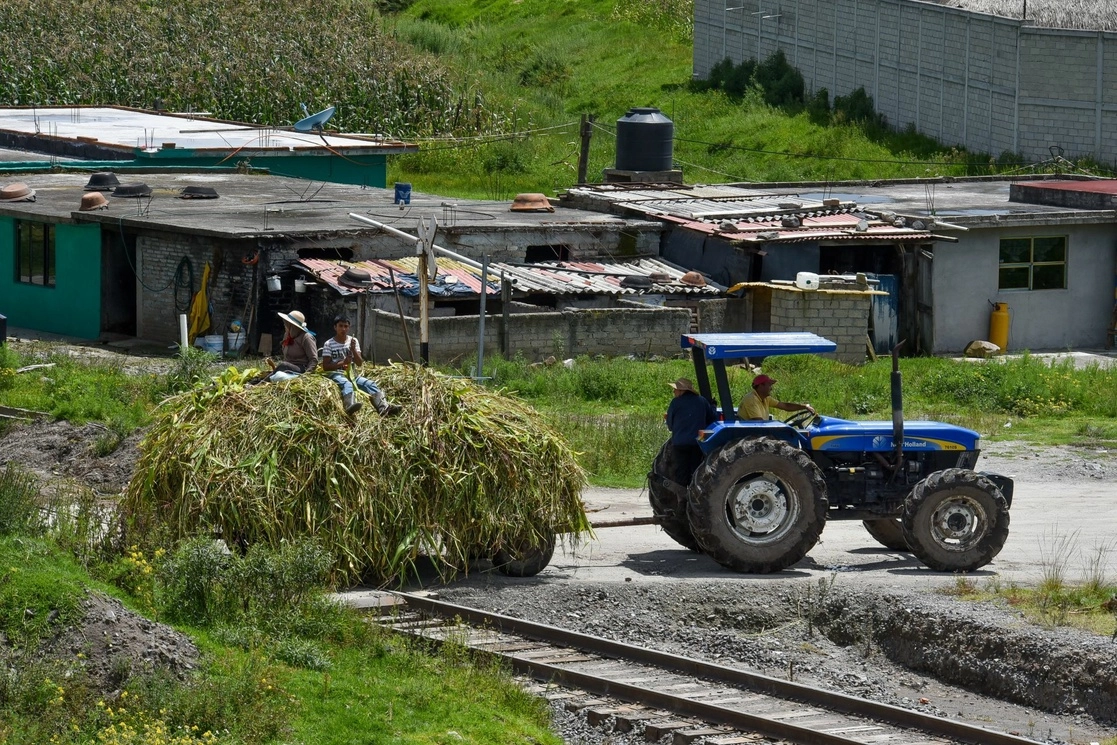 Una familia transporta milpa jalándola con un tractor; en la parte alta dos integrantes aprovechan para comer cañas mientras son remolcados, en el municipio de Almoloya de Juárez, Estado de México, el 14 de septiembre de 2021. Foto Cuartoscuro 