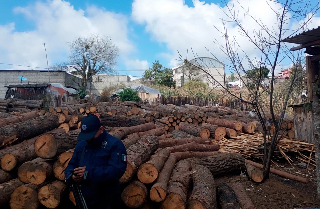 Madera en rollo de CA, en Hidalgo . Imagen difundida por https://x.com/PROFEPA_Mx