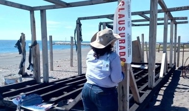 Con las obras se afectó un área de 5 mil 475 metros cuadrados, directamente sobre la zona de dunas. Foto Cortesía Profepa