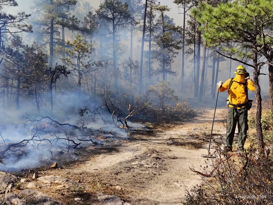 Suman alrededor de 50 personas distribuidas cerca de La Norteña y 90 alrededor de Las Varas, quienes trabajan de manera conjunta para controlar el incendio y salvaguardar las viviendas en ambas localidades. Foto 