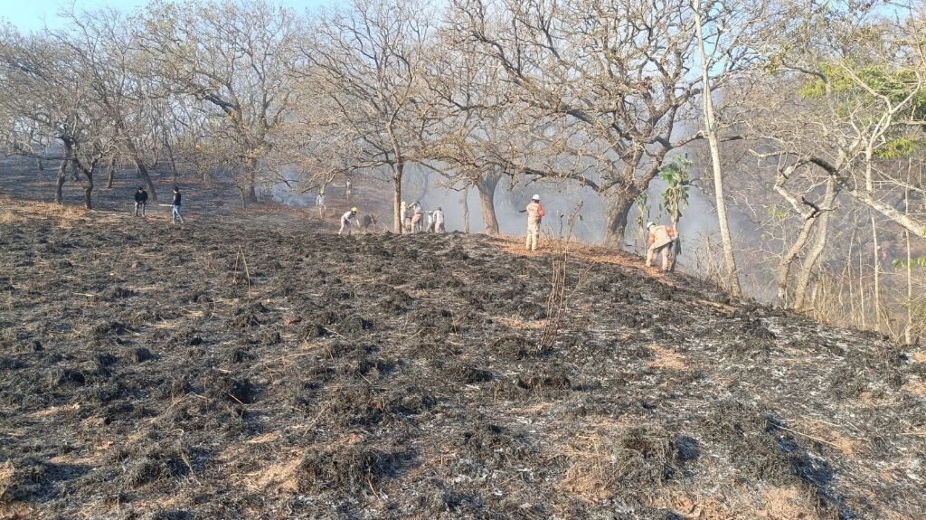 804 elementos de distintas corporaciones combaten los incendios forestales que se registran en Chiapas. Foto @pcivilchiapas