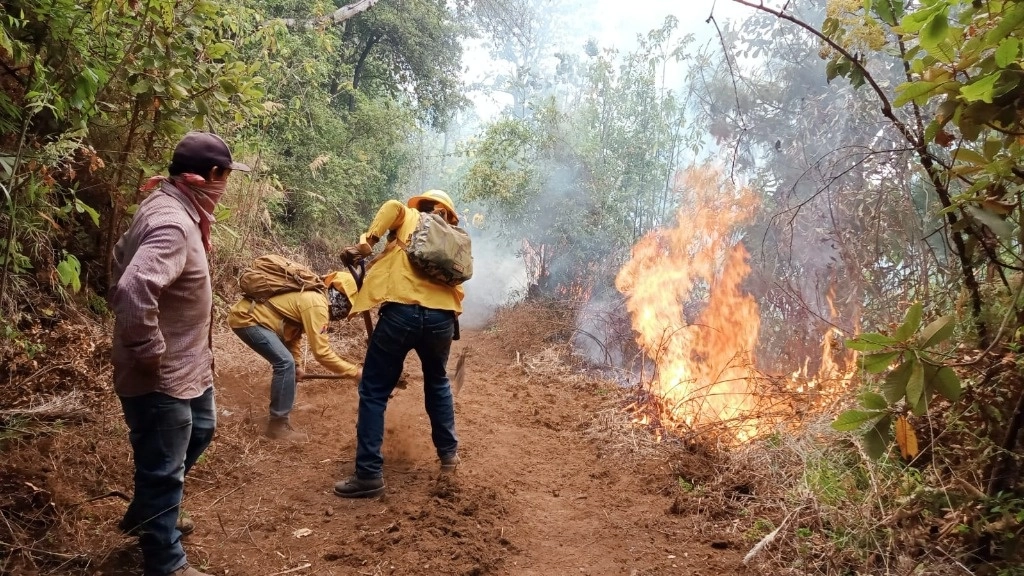 El un primer reporte a las 11 horas Probosque reportó incendios en bienes comunales de Ocuilan y Loma de San Gaspar en Villa Guerrero, además de tres incendios Tenango del Valle, en los predios conocidos como La Pedrera, San Francisco Tepoxoxuca y el ejido Zaragoza. Foto @Probosque_