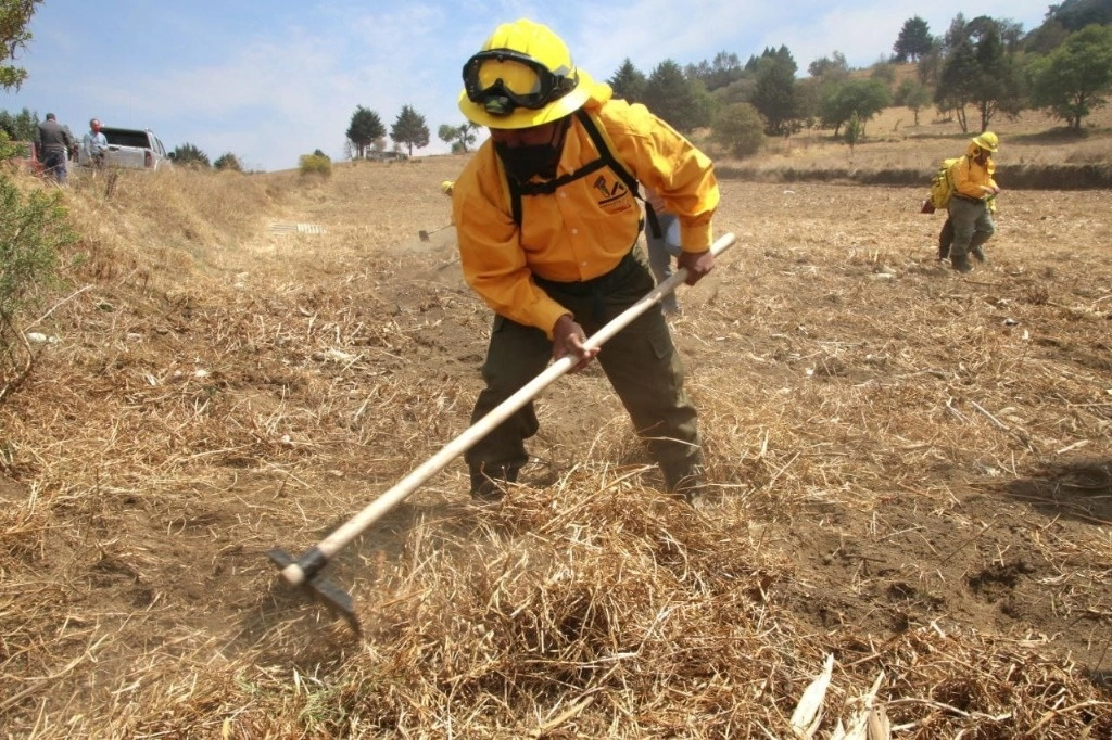 Entre las zonas prioritarias y de mayor atención ante el riesgo de incendios, se encuentra el corredor biológico Chichinahuatzin, el Parque Nacional Cumbres del Ajusco, Cerro Pelado, área Natural Protegida Bosque de Tlalpan y el Parque Ecológico de la Ciudad de México. Foto cortesía alcaldía Tlalpan 