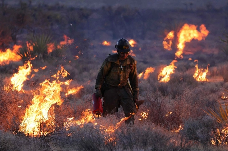 El incendio ‘York’ arde en la Reserva Nacional de Mojave, donde ha consumido 70 mil acres, incluidos Joshua Trees y ha cruzado la frontera hacia el estado de Nevada, el 30 de julio de 2023. Foto Afp