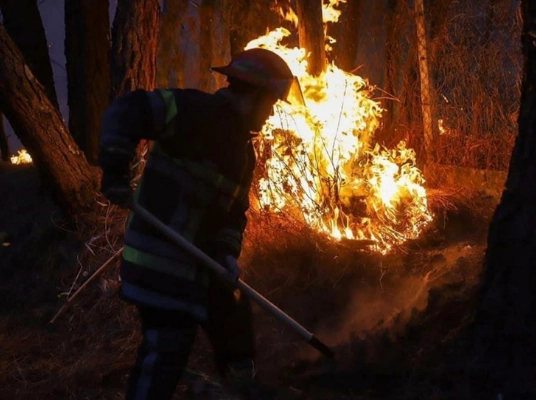 En imagen de archivo, un bombero trata de apagar un incendio forestal en Morelos. Foto La Jornada 