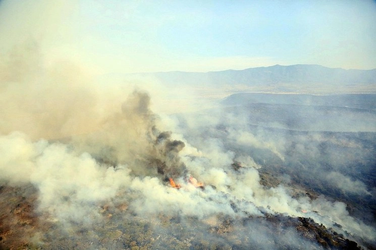 Desconocen las causas del incendio, pero que se agravó debido a la prolongada sequía y los fuertes vientos. Foto Alfredo Valadez
