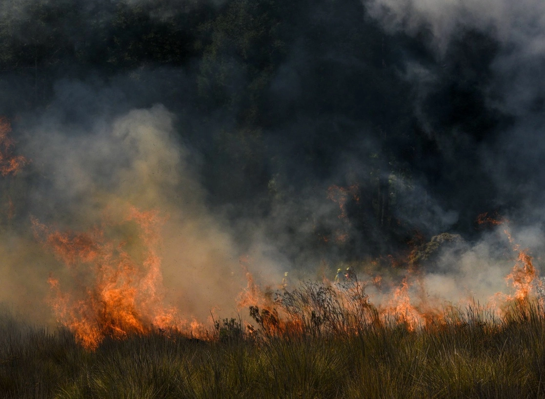 Aspectos de un incendio en imagen de archivo. Foto Cuartoscuro