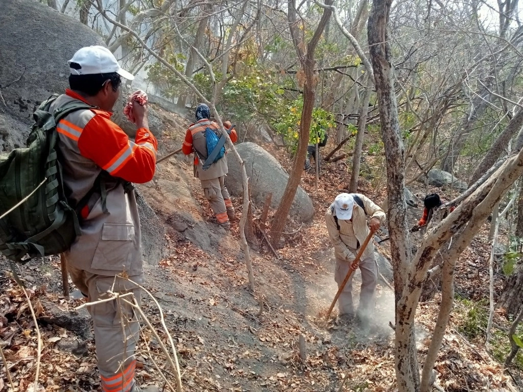 Elementos de dependencias estatales y federales combaten un incendio en la comunidad de Los Olivos, municipio de Tonalá, Chiapas. Al cierre de la edición, el fuego había afectado 73 hectáreas de hojarasca en selva baja, pero ya había sido controlado en 85 por ciento. Foto ‘La Jornada’


