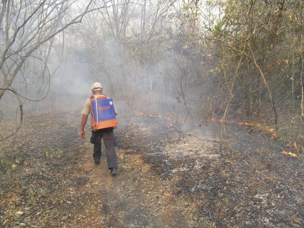 Se reportan incendios en los municipios potosinos de  Ciudad del Maíz, Aquismón y Tamasopo. Foto Cuartoscuro / Archivo