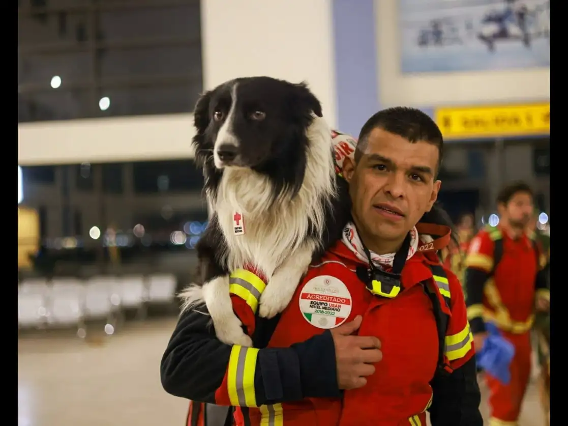 Orly, con su manejador, forma parte de la delegación de socorristas mexicanos que partió ayer rumbo a Turquía. Foto SRE y Ap