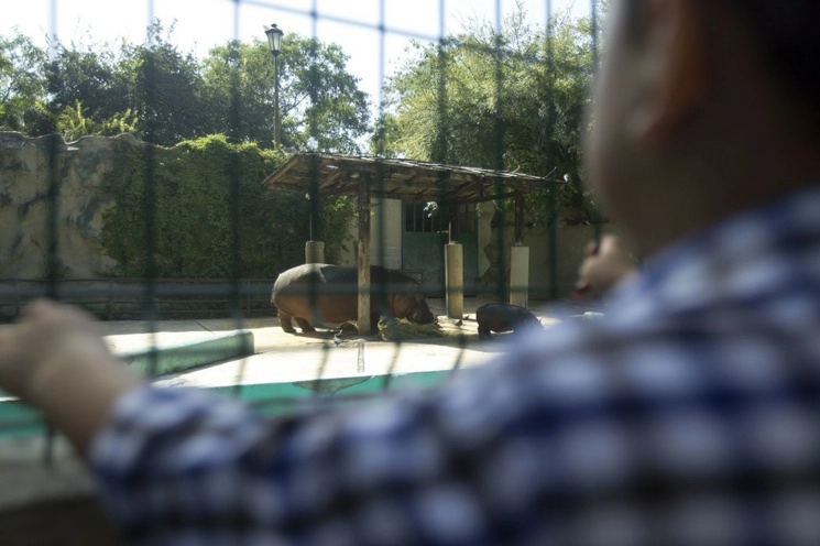 Se desconoce el destino de varios animales que habitaban el zoológico La Pastora, en el Parque Fundidora de Monterrey, Nuevo León. Foto Cuartoscuro / Archivo 