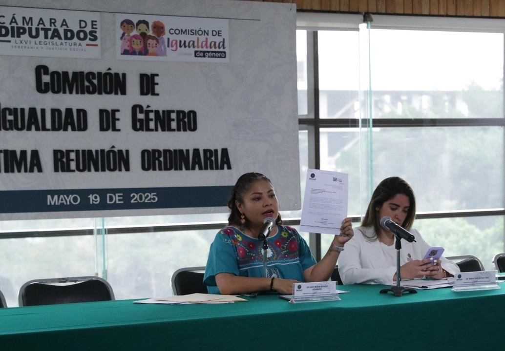 La propuesta podrá ser debatida en el pleno del recinto legislativo. Foto 