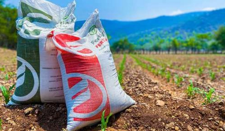 Los fertilizantes son químicos ricos en nutrientes que se utilizan para mejorar las características del suelo para un mayor desarrollo de los cultivos agrícolas. Foto 'La Jornada' / Archivo
