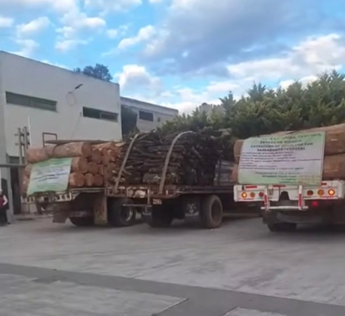 Los camiones cargados con troncos, que según habitantes de Santa Catarina del Monte, en Texcoco, estado de México, fueron talados de manera irregular en el poblado.