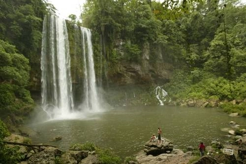 Cascada de Misol-ha en la Selva Lacandona. Foto José Carlo González/Archivo
