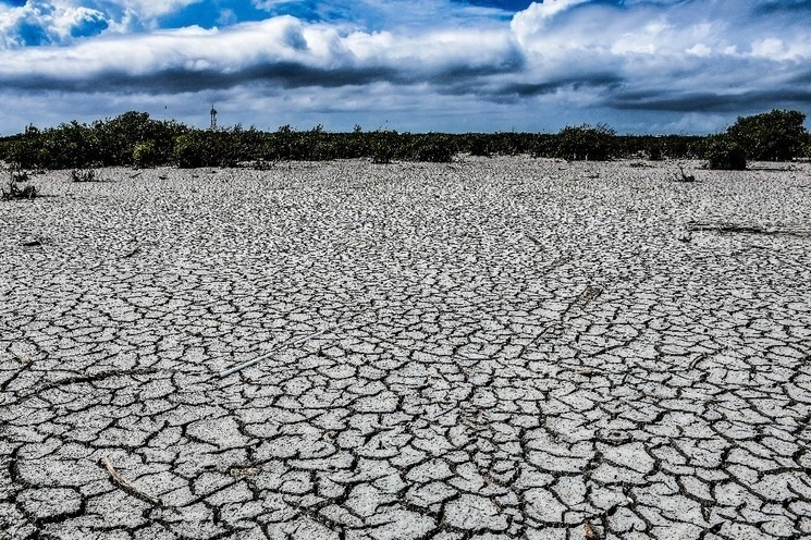 México vive una de las más grandes crisis en materia hídrica de toda su historia. Foto Cuartoscuro / Archivo
