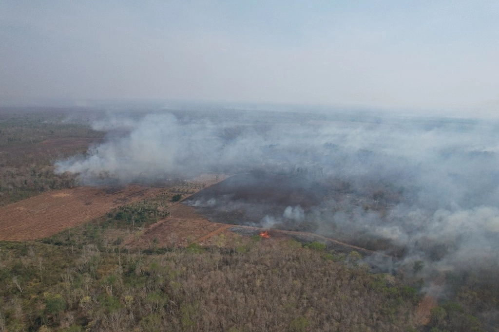 El incendio en Chanchén lleva 80 por ciento de control y 60 por ciento de liquidación, con 490 hectáreas afectadas. Foto 'La Jornada'