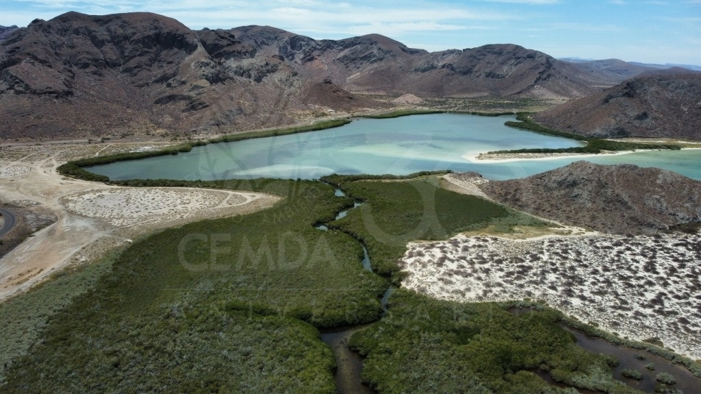 Este 5 de junio se conmemora el Día Mundial del Medio Ambiente. Imagen tomada del sitio https://www.facebook.com/cemda.ac