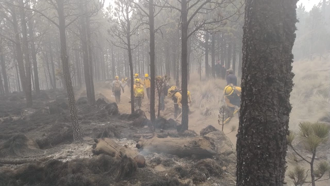 Conafor detalló que las conflagraciones dañan 26 Áreas Naturales Protegidas, y 3 mil 819 personas se encuentran en los puntos activos para combatir el fuego.