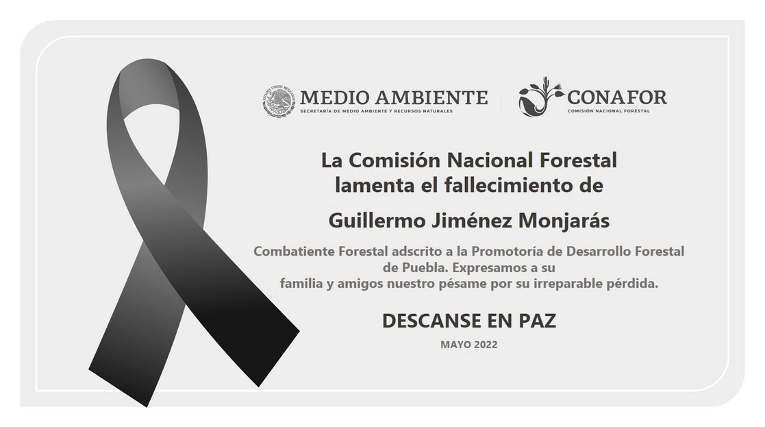 Guillermo Jiménez Monjarás estaba adscrito a la Promotoría de Desarrollo Forestal de Ciudad Serdán, Puebla. Foto tomada de la cuenta de Twitter @CONAFOR
