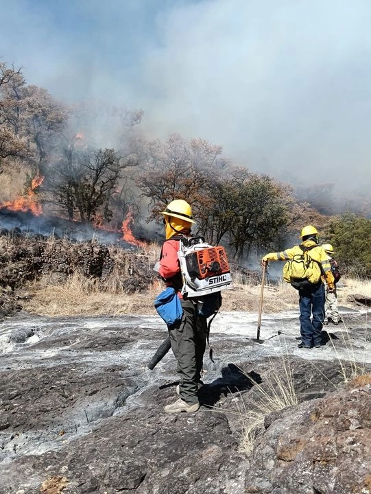 Alrededor de 50 brigadistas laboran para sofocar el incendio forestal en la zona serrana entre Bavispe y Agua Prieta. Foto 