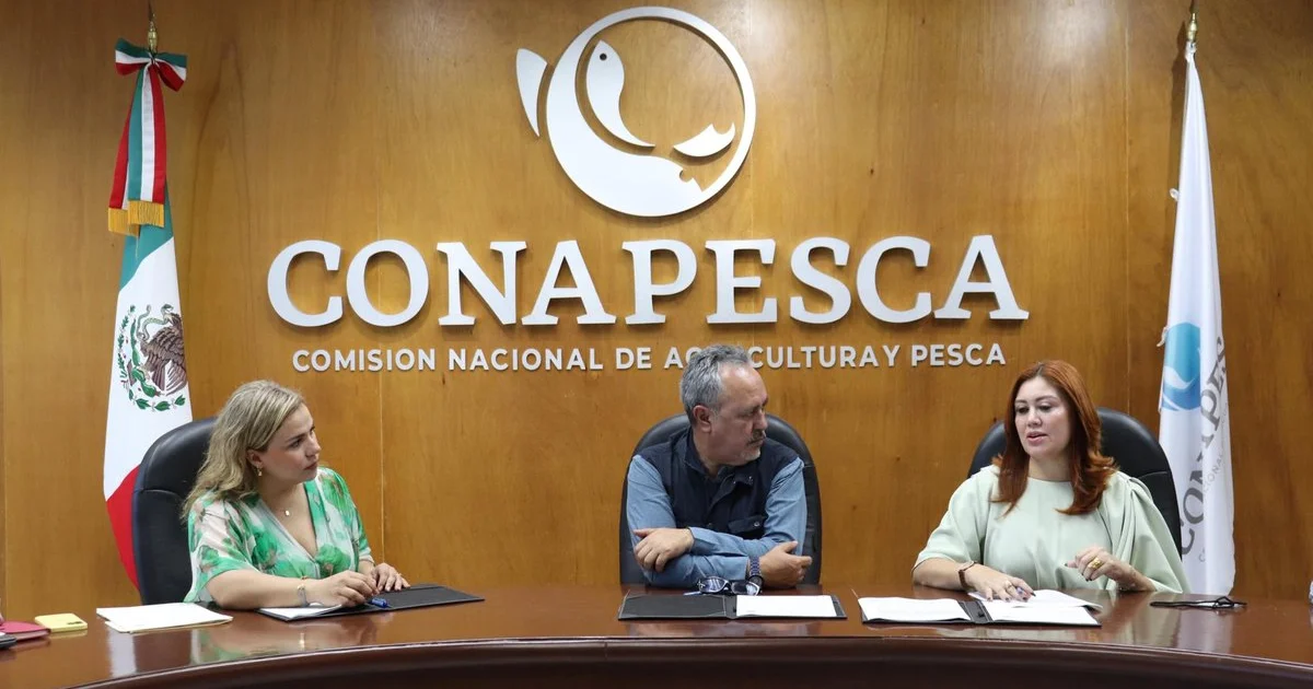 La Jornada - Más de 32 mil pescadores recibirán beneficios del gobierno de  Sinaloa y Conapesca