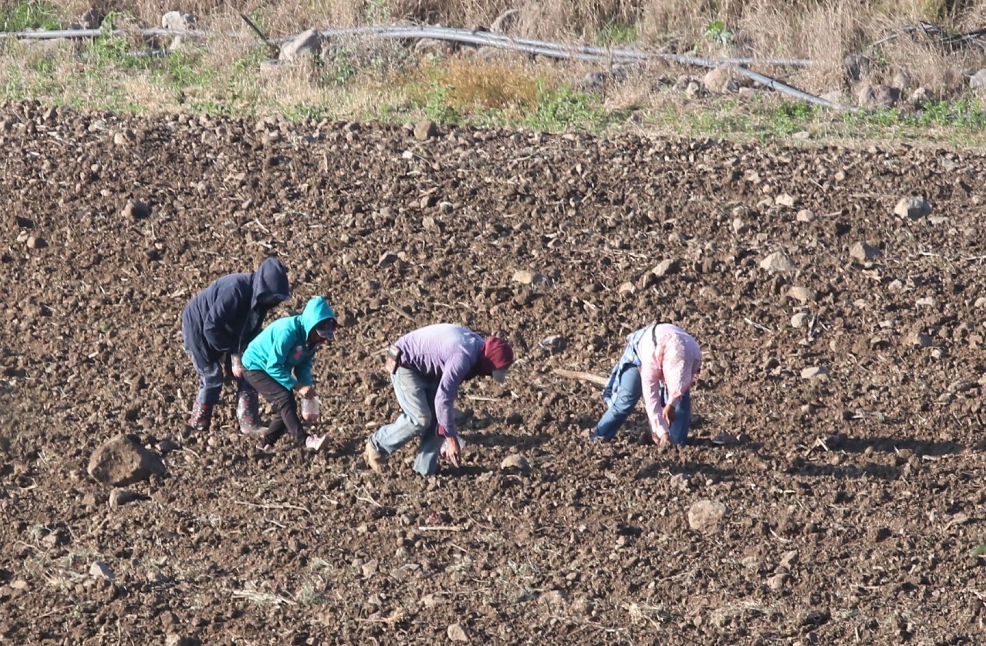 Los padres de los menores jornaleros bajo resguardo del DIF Sinaloa acusan que no se les ha permitido ver a sus hijos. Foto 
