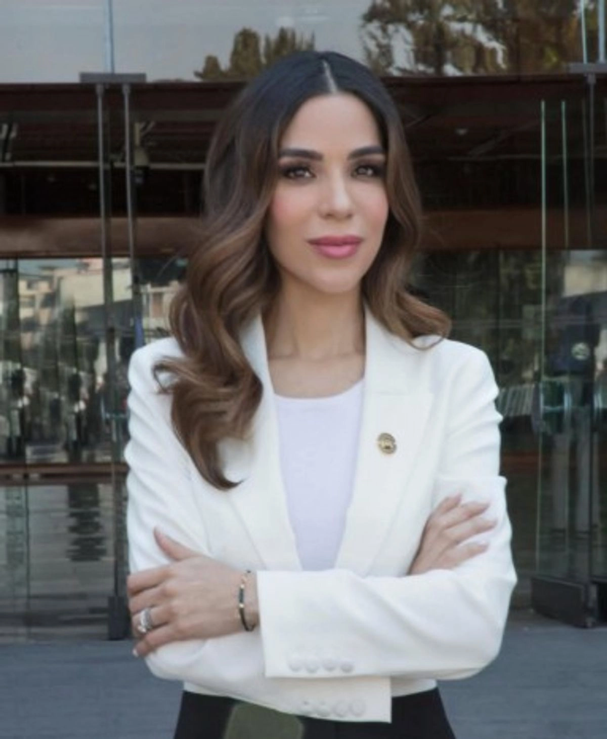 Diana Karina Barreras Samaniego, diputada del Partido del Trabajo (PT).