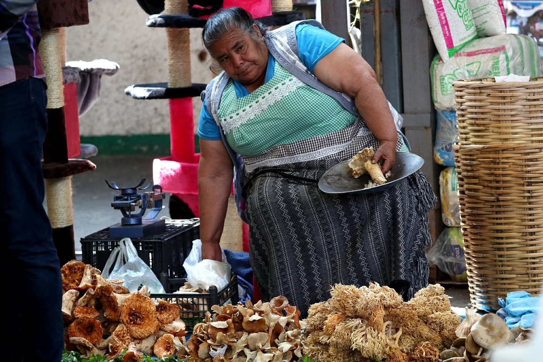 Vendedora de hongos en el mercado de Jamaica. Foto María Luisa Severiano / Archivo