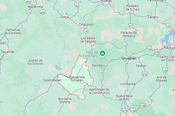 Un juzgado afirmó que constituye un riesgo latente para las personas que habitan las localidades de "Las Paredes del Ahogado y Santa Ana Amatlán", pertenecientes al municipio de Buenavista Tomatlán, Michoacán, y sus zonas aledañas, pierdan la vida o sufran mutilaciones, ante el alto riesgo probado del detonamiento de artefactos explosivos que, clandestinamente, se siguen instalando en la entidad. 