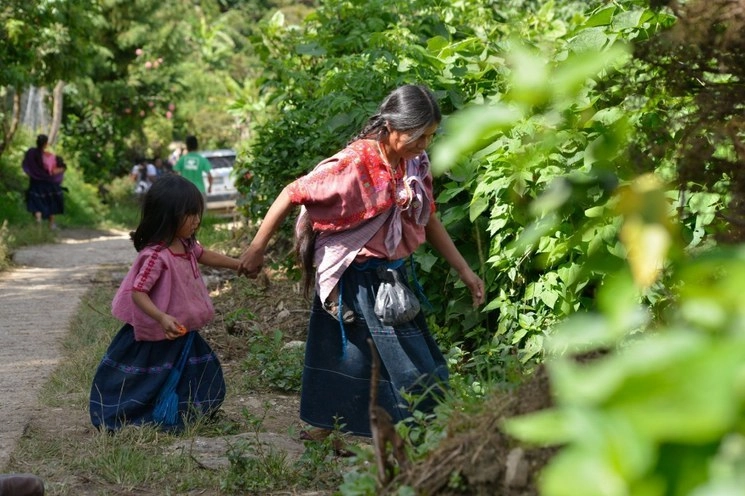 Pobladores de diferentes comunidades del municipio de Aldama, Chiapas, han sido desplazados de sus hogares por la violencia. Foto Cuartoscuro /Archivo