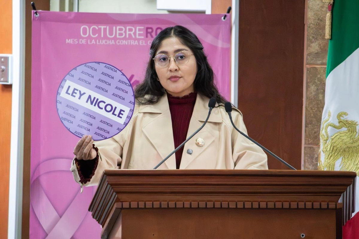 El Congreso del estado aprobó la llamada Ley Nicole, con la que se pretende evitar que se realicen cirugías estéticas a menores de edad, y con ello proteger la integridad, la salud y la vida de niñas, niños y adolescentes en la entidad. Foto